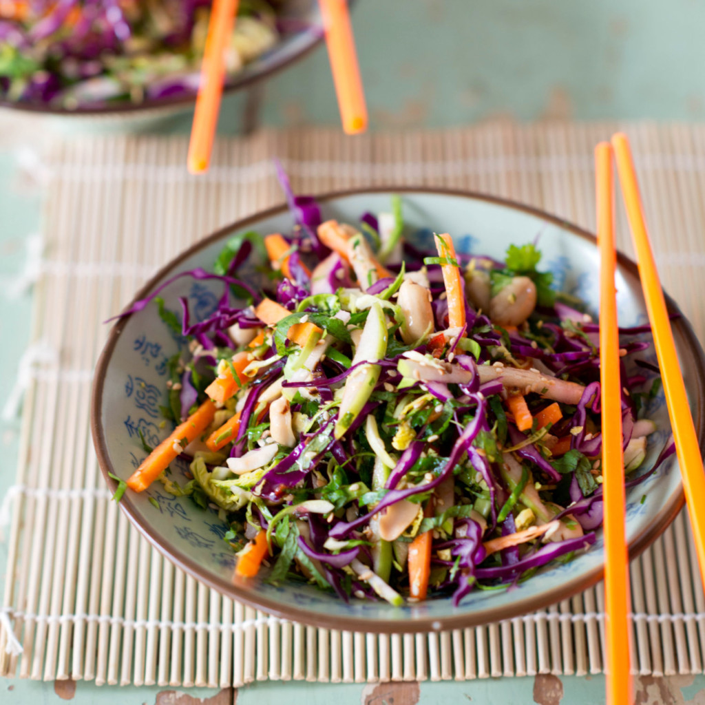 crunchy-asian-slaw-nadia-lim